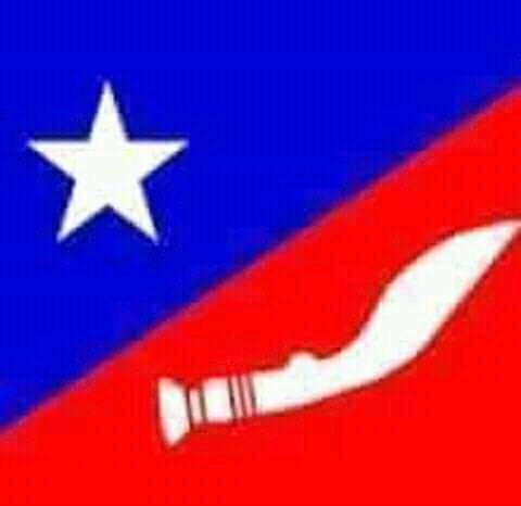 नगर सदस्यमा नियुक्त